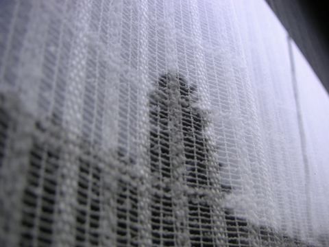 Minolta DiMAGE Xt New!