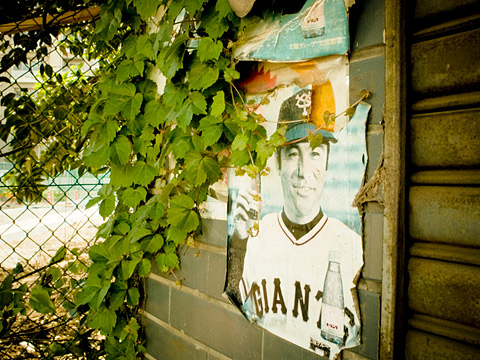 Shibata(Shinjuku North)